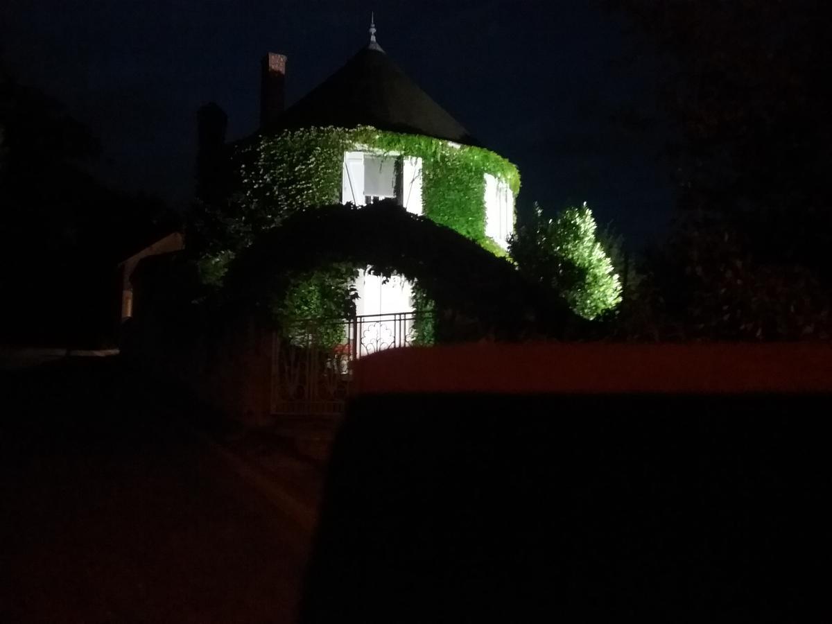 Le Pigeonnier Hotel Saint-Martin-le-Beau Kültér fotó